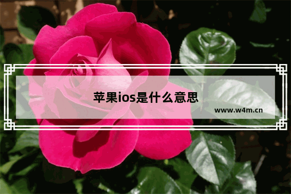 苹果ios是什么意思