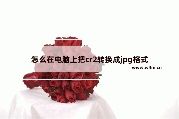 怎么在电脑上把cr2转换成jpg格式