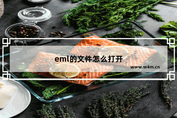 eml的文件怎么打开