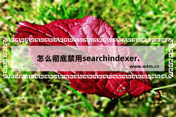 怎么彻底禁用searchindexer.exe进程