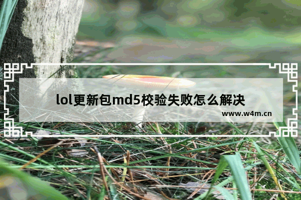 lol更新包md5校验失败怎么解决