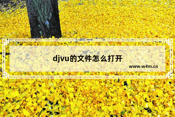 djvu的文件怎么打开