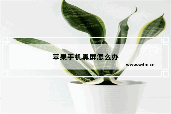 苹果手机黑屏怎么办