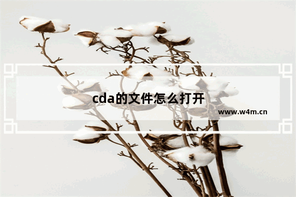 cda的文件怎么打开