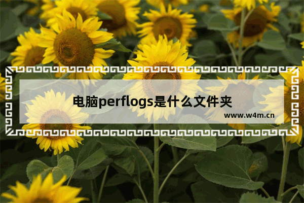 电脑perflogs是什么文件夹