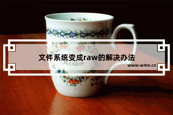 文件系统变成raw的解决办法