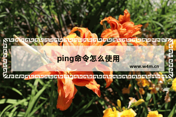 ping命令怎么使用