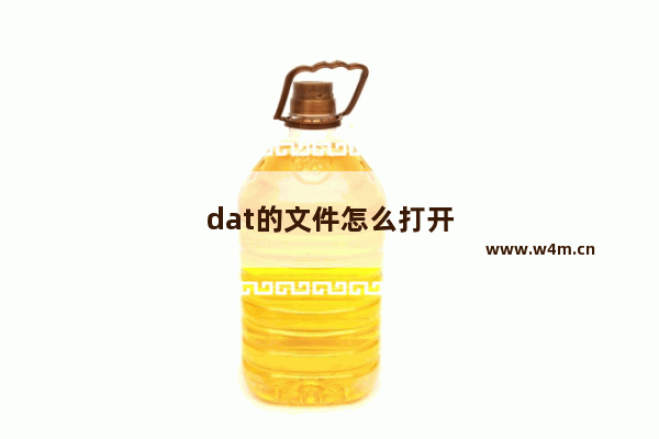 dat的文件怎么打开