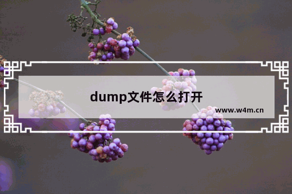 dump文件怎么打开