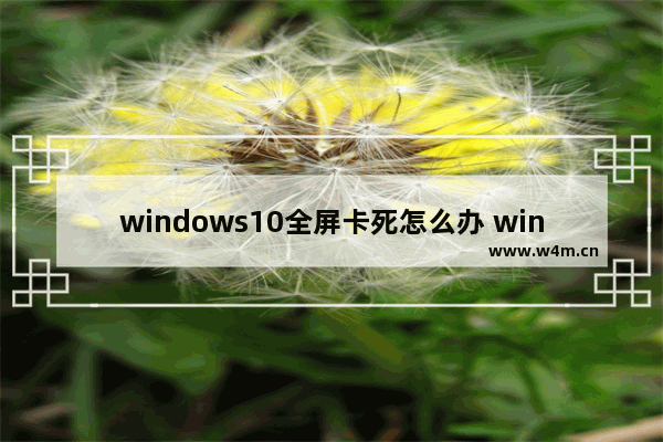 windows10全屏卡死怎么办 windows10卡死切换窗口无效