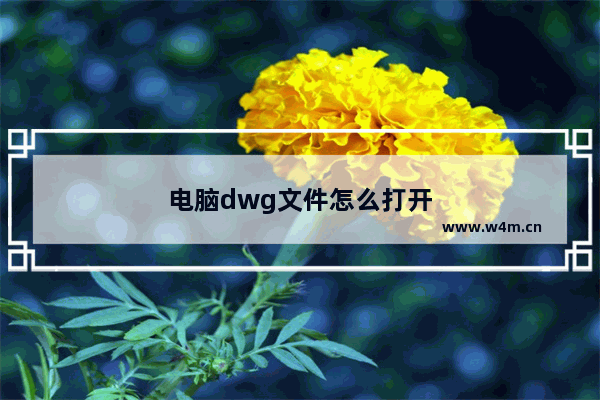 电脑dwg文件怎么打开