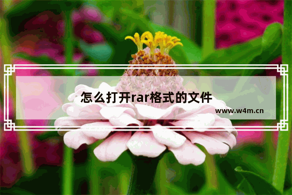 怎么打开rar格式的文件