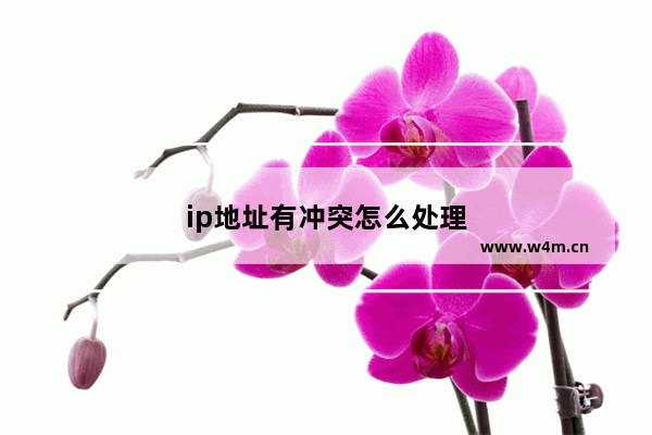 ip地址有冲突怎么处理