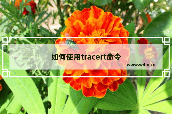 如何使用tracert命令