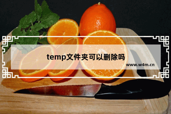 temp文件夹可以删除吗