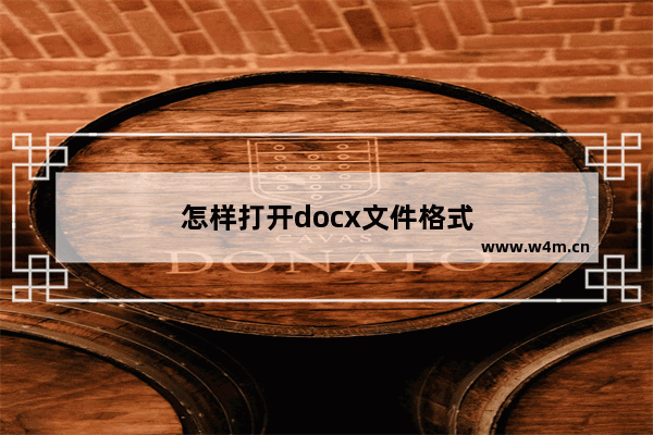 怎样打开docx文件格式