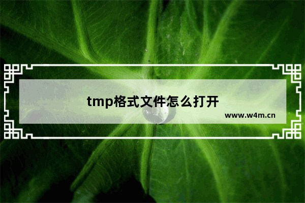 tmp格式文件怎么打开