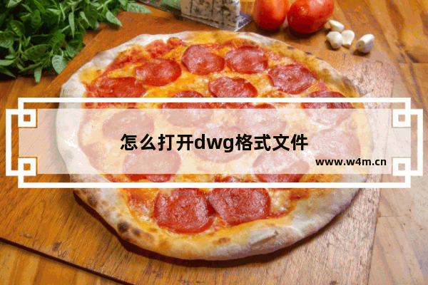 怎么打开dwg格式文件