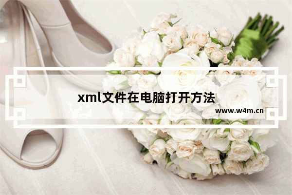 xml文件在电脑打开方法