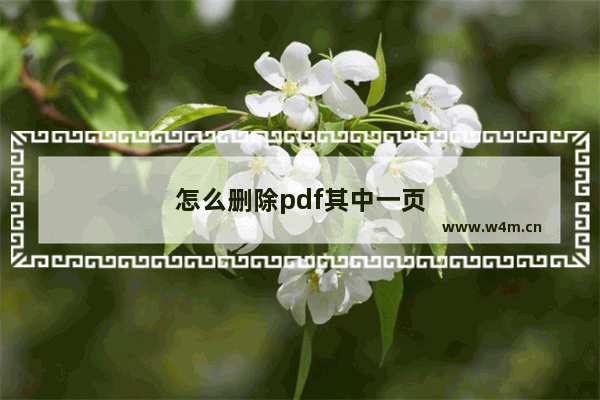 怎么删除pdf其中一页