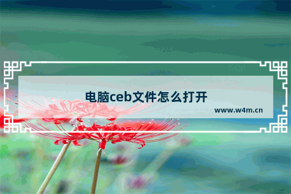 电脑ceb文件怎么打开