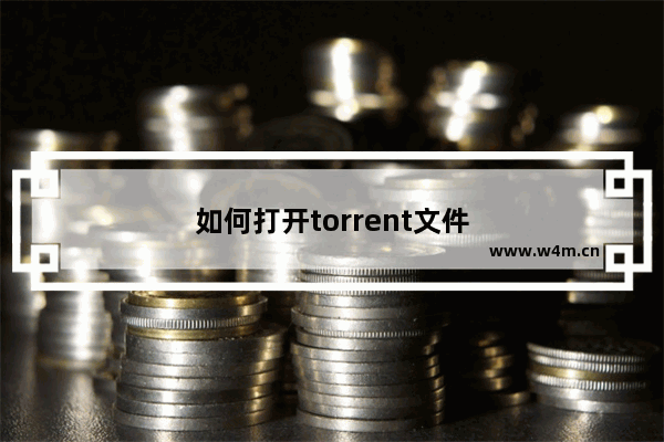 如何打开torrent文件