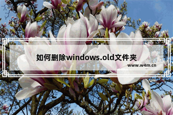 如何删除windows.old文件夹