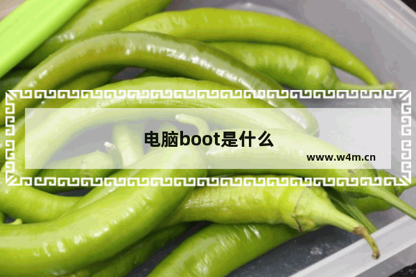 电脑boot是什么