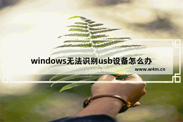 windows无法识别usb设备怎么办