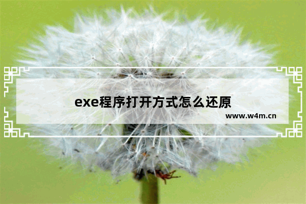 exe程序打开方式怎么还原