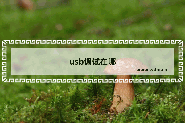 usb调试在哪