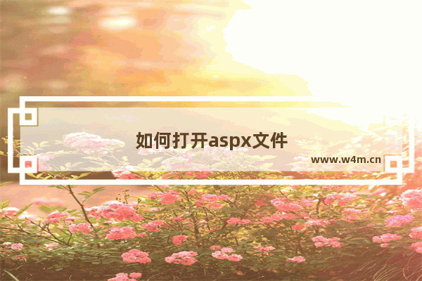 如何打开aspx文件