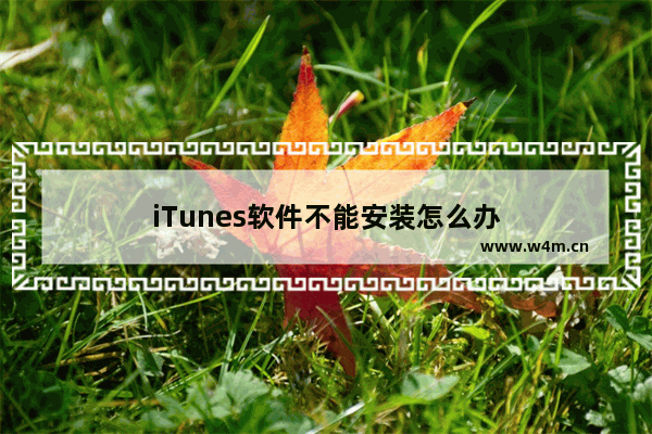 iTunes软件不能安装怎么办