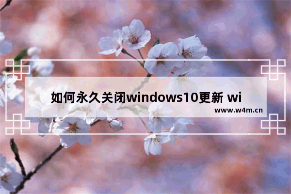 如何永久关闭windows10更新 windows10怎么永久关闭更新