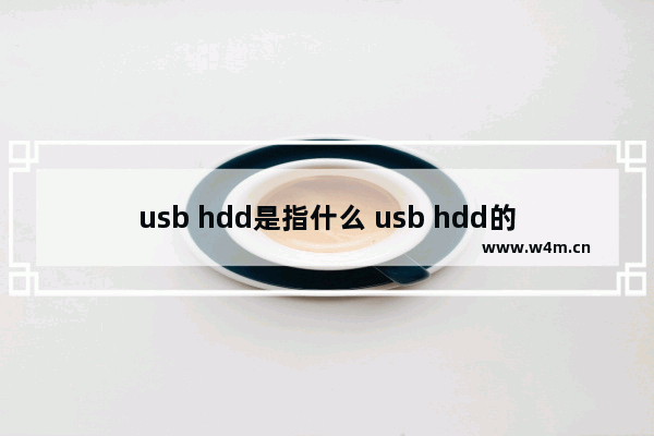 usb hdd是指什么 usb hdd的意思是什么