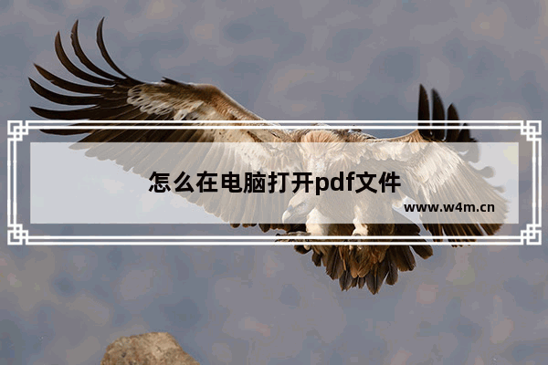 怎么在电脑打开pdf文件