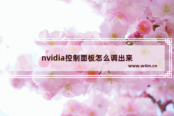 nvidia控制面板怎么调出来