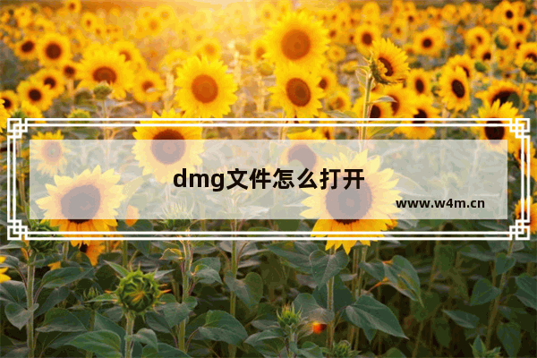 dmg文件怎么打开