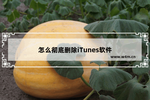 怎么彻底删除iTunes软件