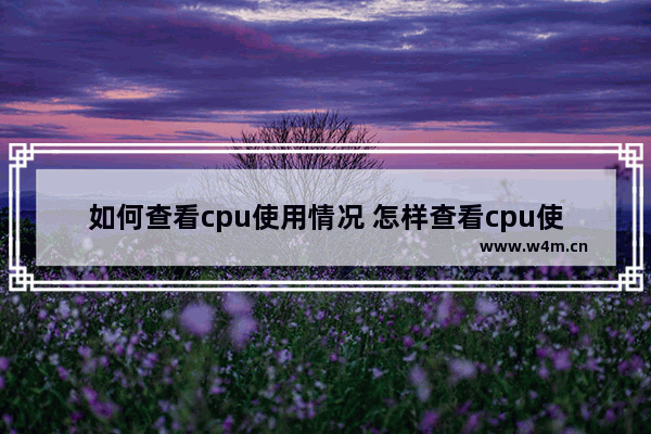 如何查看cpu使用情况 怎样查看cpu使用情况