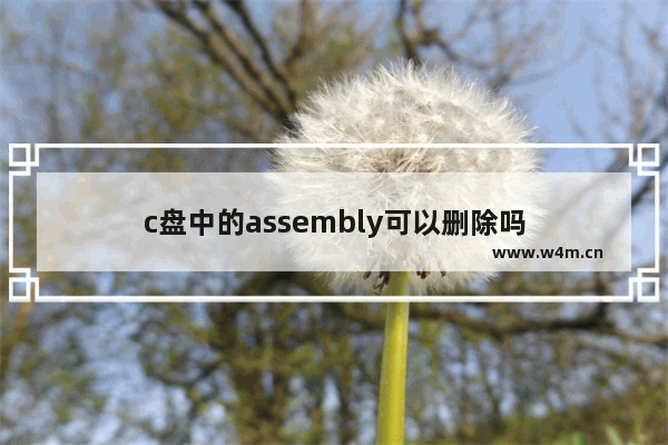 c盘中的assembly可以删除吗