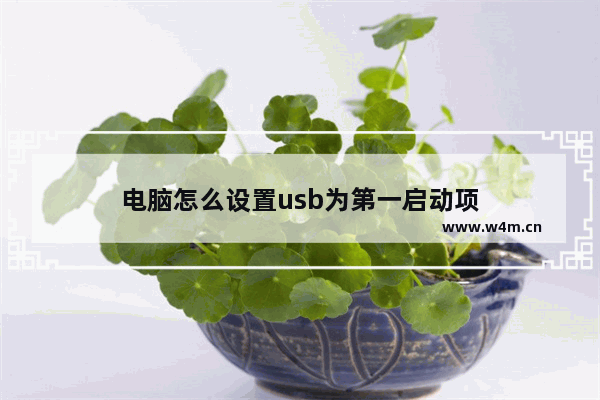 电脑怎么设置usb为第一启动项