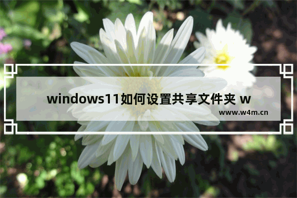 windows11如何设置共享文件夹 windows11设置共享文件夹教程