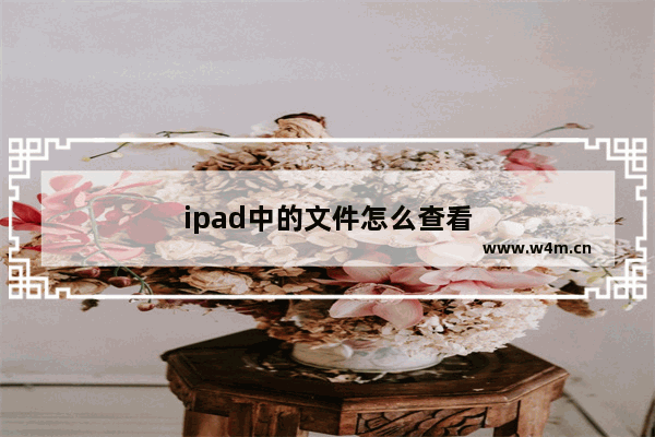 ipad中的文件怎么查看