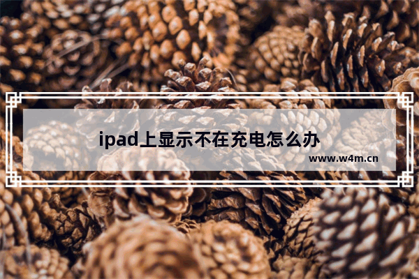 ipad上显示不在充电怎么办