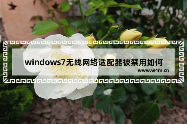 windows7无线网络适配器被禁用如何开启 windows7无线网络适配器被禁用的恢复方法