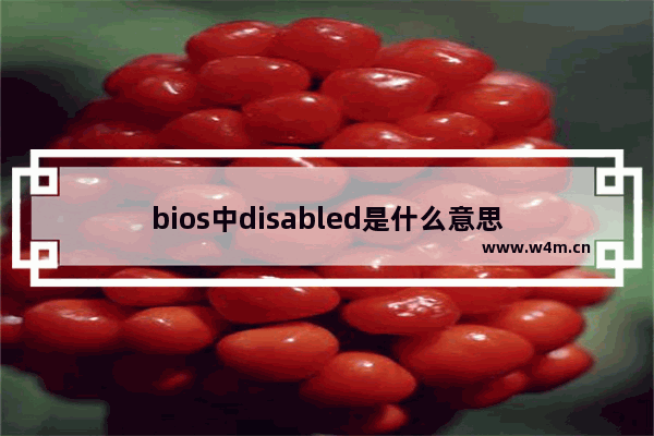 bios中disabled是什么意思