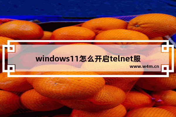 windows11怎么开启telnet服务 windows11开启telnet服务方法