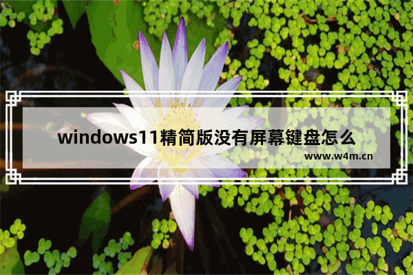 windows11精简版没有屏幕键盘怎么办 windows11精简版没有屏幕键盘解决方法教学