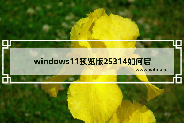 windows11预览版25314如何启用USB4专用设置页面 启用USB4专用设置页面方法